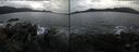 ./images/rivers-inlet/ethel/20241217/ethel20241217_122457.jpg