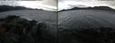 ./images/rivers-inlet/ethel/20241220/ethel20241220_122955.jpg