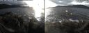 ./images/rivers-inlet/ethel/20241220/ethel20241220_145955.jpg
