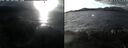 ./images/rivers-inlet/ethel/20241221/ethel20241221_134957.jpg