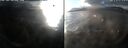 ./images/rivers-inlet/ethel/20241222/ethel20241222_144957.jpg