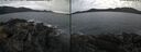 ./images/rivers-inlet/ethel/20241223/ethel20241223_150957.jpg