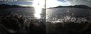 ./images/rivers-inlet/ethel/20250101/ethel20250101_145957.jpg