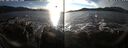./images/rivers-inlet/ethel/20250101/ethel20250101_150957.jpg