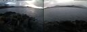 ./images/rivers-inlet/ethel/20250107/ethel20250107_162956.jpg