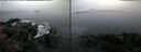 ./images/rivers-inlet/ethel/20250108/ethel20250108_084455.jpg