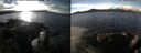 ./images/rivers-inlet/ethel/20250108/ethel20250108_115457.jpg