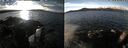 ./images/rivers-inlet/ethel/20250108/ethel20250108_115956.jpg