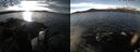 ./images/rivers-inlet/ethel/20250108/ethel20250108_120457.jpg