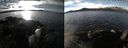 ./images/rivers-inlet/ethel/20250108/ethel20250108_121456.jpg
