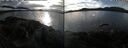 ./images/rivers-inlet/ethel/20250108/ethel20250108_141957.jpg