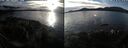 ./images/rivers-inlet/ethel/20250108/ethel20250108_144956.jpg
