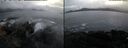 ./images/rivers-inlet/ethel/20250110/ethel20250110_083455.jpg