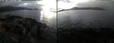 ./images/rivers-inlet/ethel/20250110/ethel20250110_141456.jpg