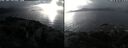 ./images/rivers-inlet/ethel/20250110/ethel20250110_144956.jpg
