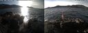 ./images/rivers-inlet/ethel/20250112/ethel20250112_130956.jpg
