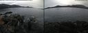./images/rivers-inlet/ethel/20250113/ethel20250113_105956.jpg