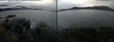 ./images/rivers-inlet/ethel/20250113/ethel20250113_121456.jpg