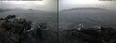 ./images/rivers-inlet/ethel/20250114/ethel20250114_134956.jpg