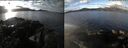 ./images/rivers-inlet/ethel/20250116/ethel20250116_102956.jpg