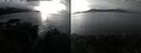 ./images/rivers-inlet/ethel/20250116/ethel20250116_132957.jpg