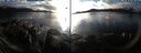 ./images/rivers-inlet/ethel/20250116/ethel20250116_153956.jpg