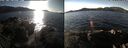 ./images/rivers-inlet/ethel/20250117/ethel20250117_132956.jpg