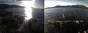 ./images/rivers-inlet/ethel/20250117/ethel20250117_134456.jpg
