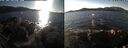 ./images/rivers-inlet/ethel/20250117/ethel20250117_135956.jpg