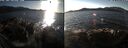 ./images/rivers-inlet/ethel/20250117/ethel20250117_143456.jpg