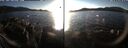 ./images/rivers-inlet/ethel/20250117/ethel20250117_153956.jpg