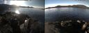 ./images/rivers-inlet/ethel/20250119/ethel20250119_120456.jpg