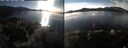 ./images/rivers-inlet/ethel/20250119/ethel20250119_140956.jpg