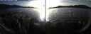 ./images/rivers-inlet/ethel/20250119/ethel20250119_154956.jpg