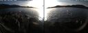 ./images/rivers-inlet/ethel/20250119/ethel20250119_155456.jpg