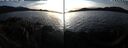 ./images/rivers-inlet/ethel/20250119/ethel20250119_161456.jpg