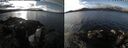 ./images/rivers-inlet/ethel/20250123/ethel20250123_115456.jpg
