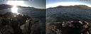 ./images/rivers-inlet/ethel/20250124/ethel20250124_114456.jpg