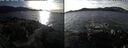 ./images/rivers-inlet/ethel/20250124/ethel20250124_140456.jpg