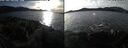 ./images/rivers-inlet/ethel/20250124/ethel20250124_142456.jpg