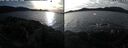 ./images/rivers-inlet/ethel/20250124/ethel20250124_143956.jpg