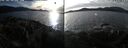 ./images/rivers-inlet/ethel/20250124/ethel20250124_150456.jpg