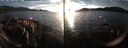 ./images/rivers-inlet/ethel/20250124/ethel20250124_163456.jpg