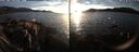 ./images/rivers-inlet/ethel/20250124/ethel20250124_163956.jpg