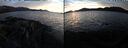 ./images/rivers-inlet/ethel/20250124/ethel20250124_165956.jpg