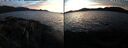 ./images/rivers-inlet/ethel/20250124/ethel20250124_171456.jpg