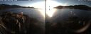 ./images/rivers-inlet/ethel/20250127/ethel20250127_163456.jpg