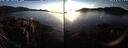 ./images/rivers-inlet/ethel/20250127/ethel20250127_164456.jpg