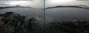 ./images/rivers-inlet/ethel/20250130/ethel20250130_151956.jpg
