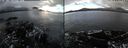 ./images/rivers-inlet/ethel/20250131/ethel20250131_125957.jpg